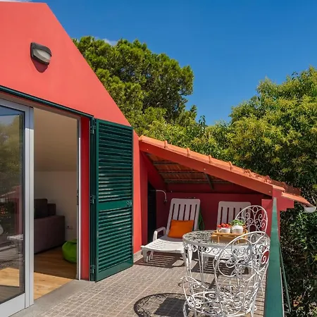 Dom wakacyjny Casa Strelitzia By An Island