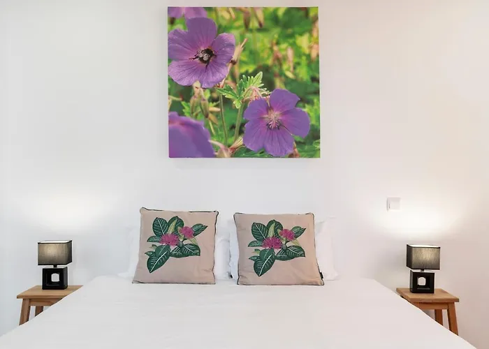 펜션 Casa Strelitzia By An Island 푼샬