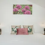 Casa Strelitzia By An Island *