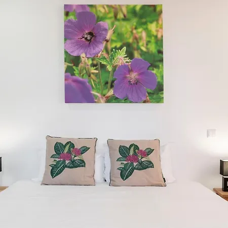 بيت للعطل Casa Strelitzia By An Island فونشال