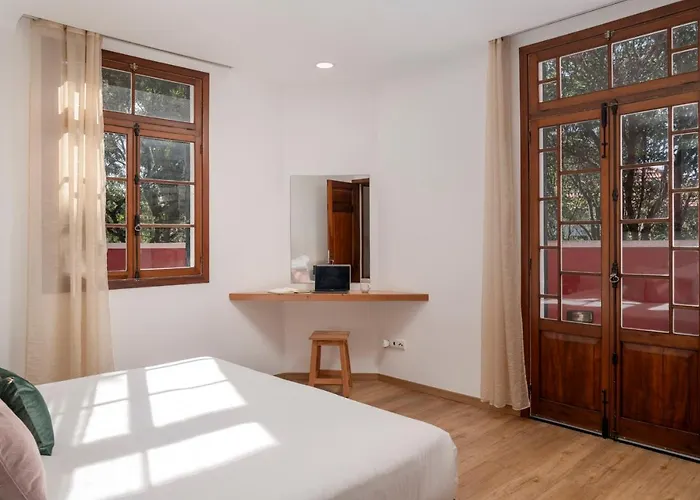 Casa Strelitzia By An Island 度假居 丰沙尔