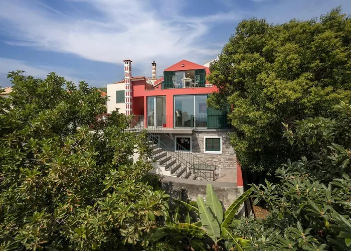 度假居 Casa Strelitzia By An Island 丰沙尔