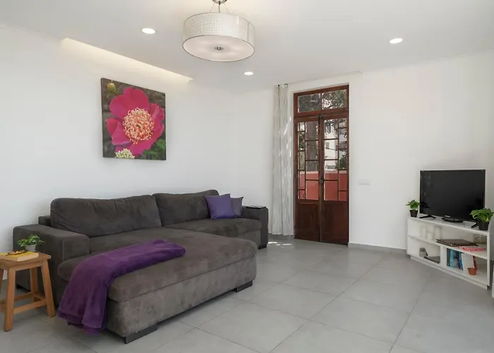 Casa Strelitzia By An Island *